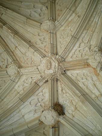 Dartington - Roof Bosses